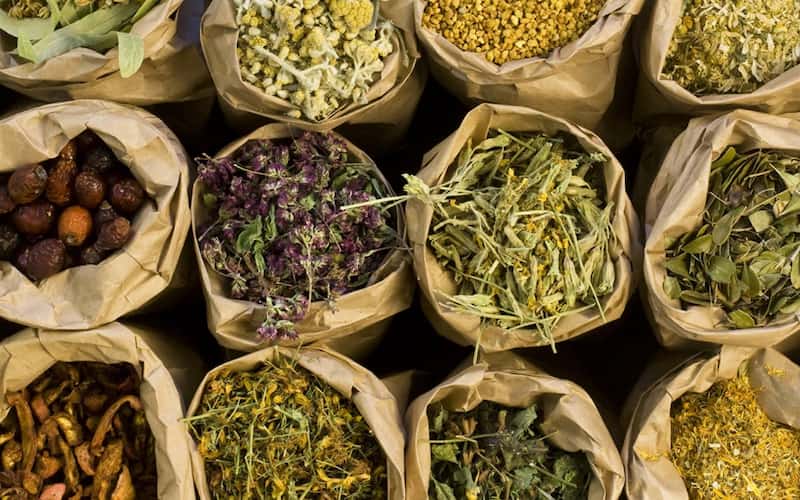 گیاهان دارویی