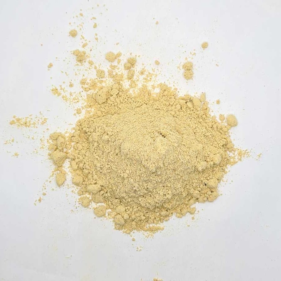 زنجبیل پودر