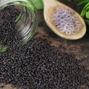 تخم شربتی درشت(ریحان)