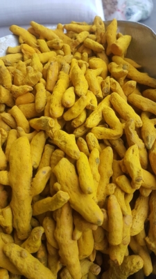 زرد چوبه قلم