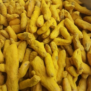 زرد چوبه قلم